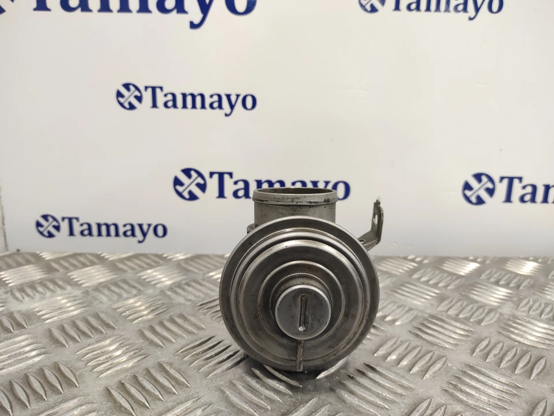 Valvula Egr para Bmw Serie 3 Berlina (E46)