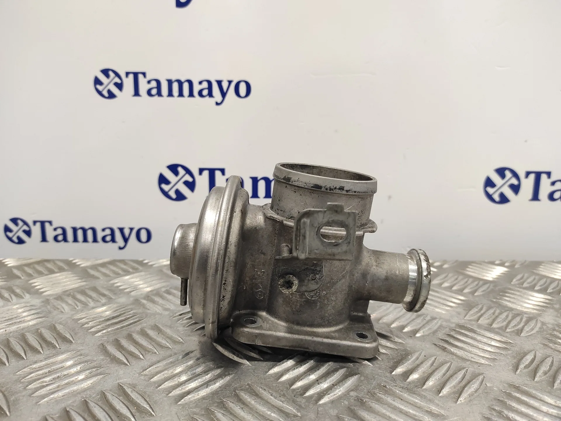 Valvula Egr para Bmw Serie 3 Berlina (E46)