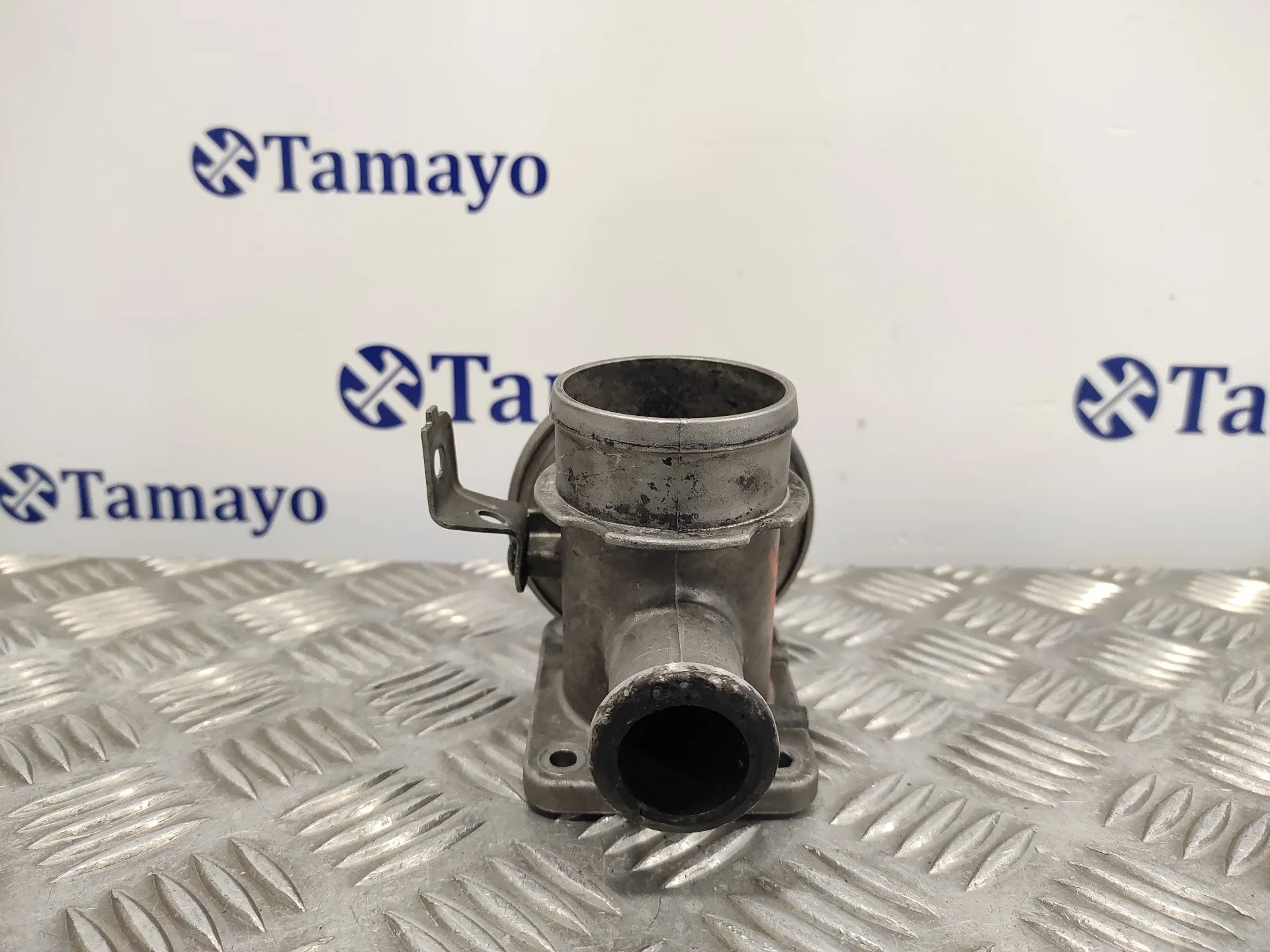 Valvula Egr para Bmw Serie 3 Berlina (E46)