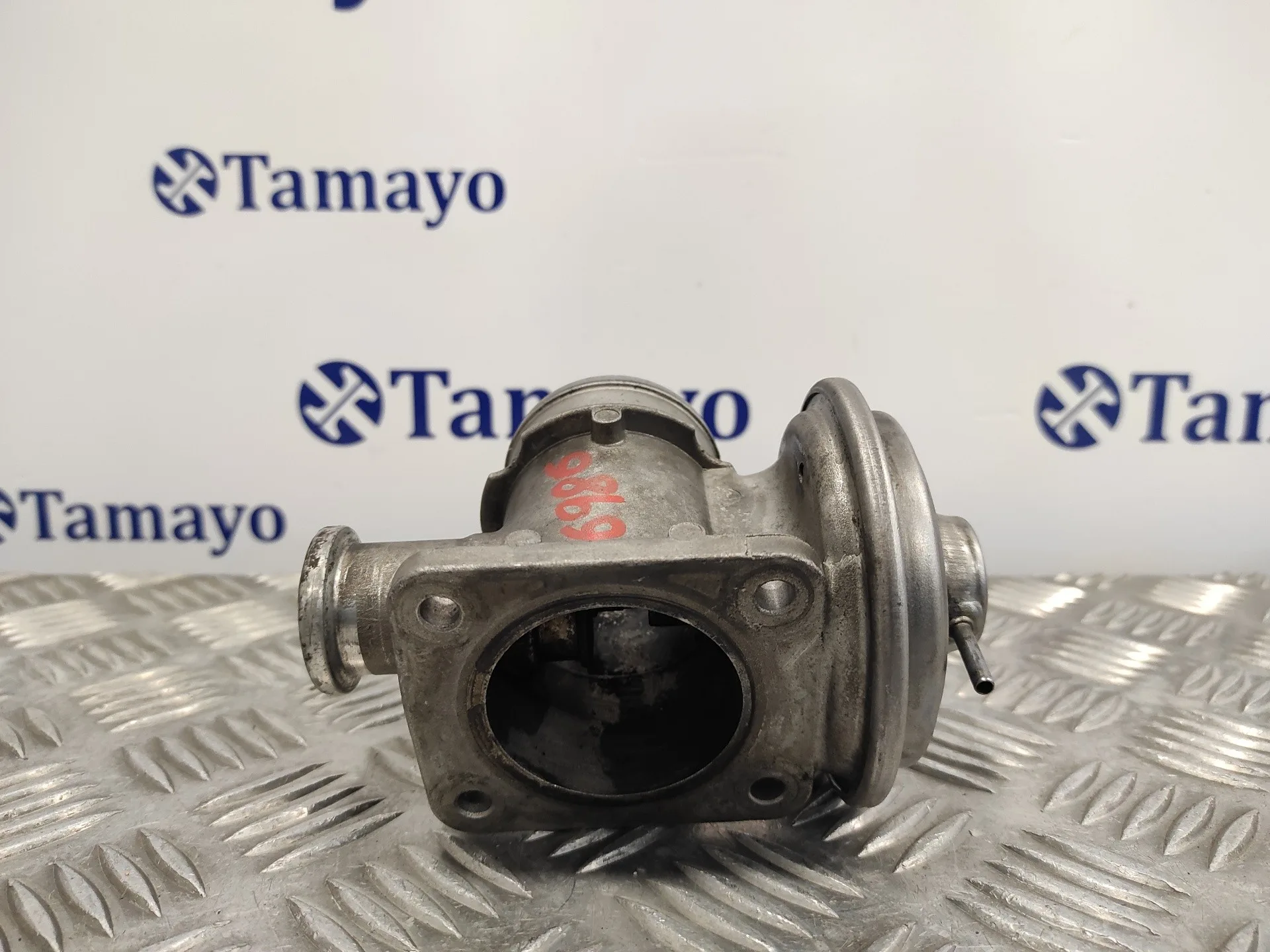 Valvula Egr para Bmw Serie 3 Berlina (E46)