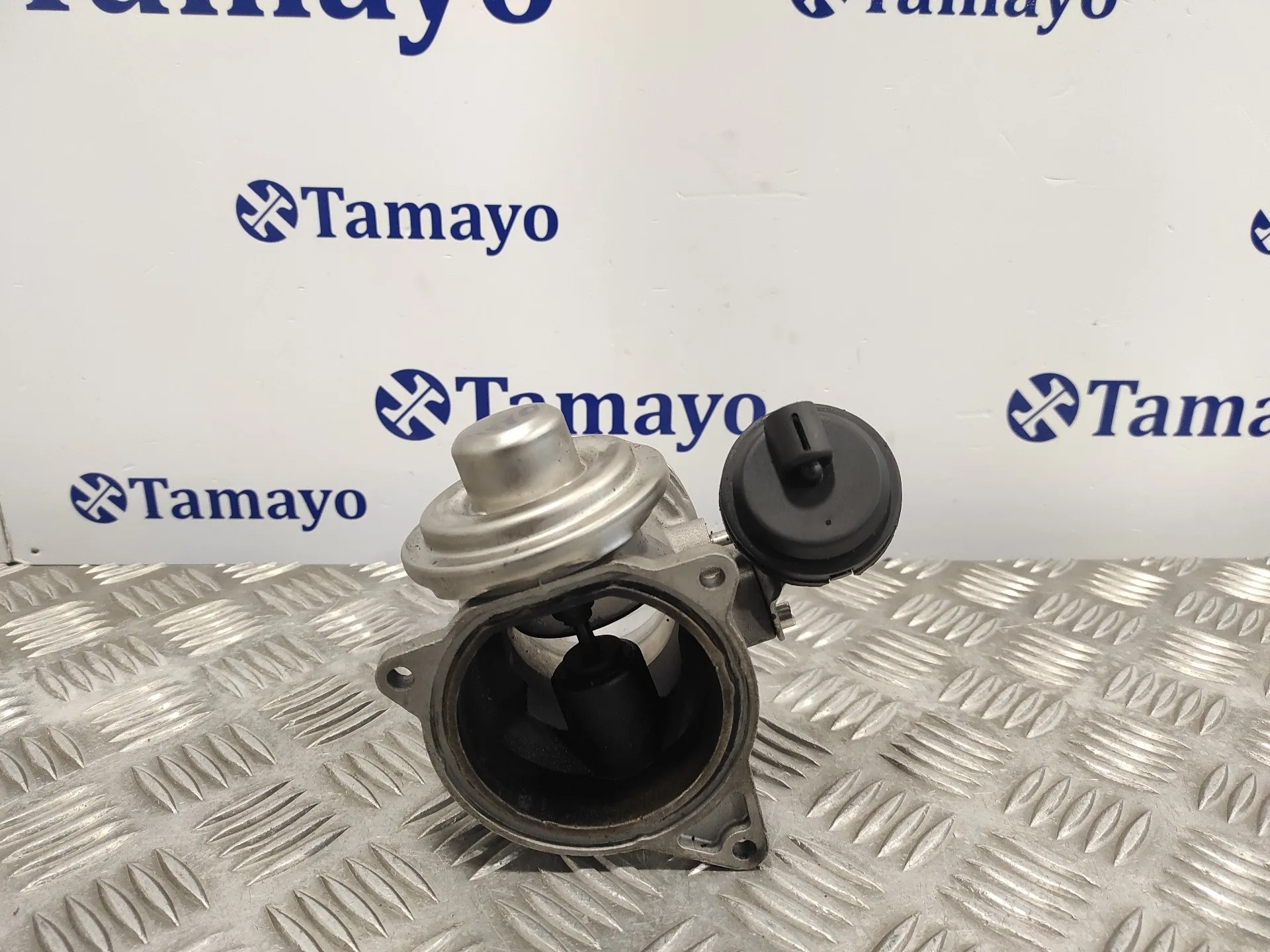 Valvula Egr para Volkswagen Touareg (7L6)