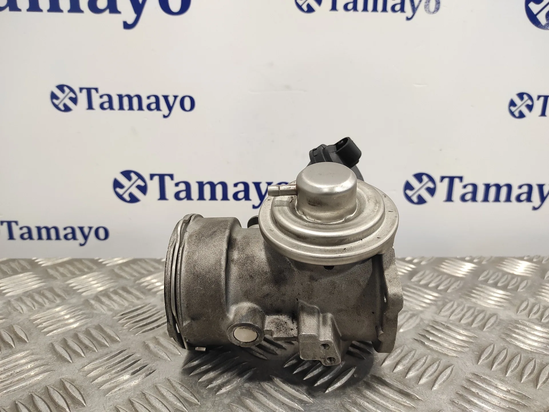 Valvula Egr para Volkswagen Touareg (7L6)