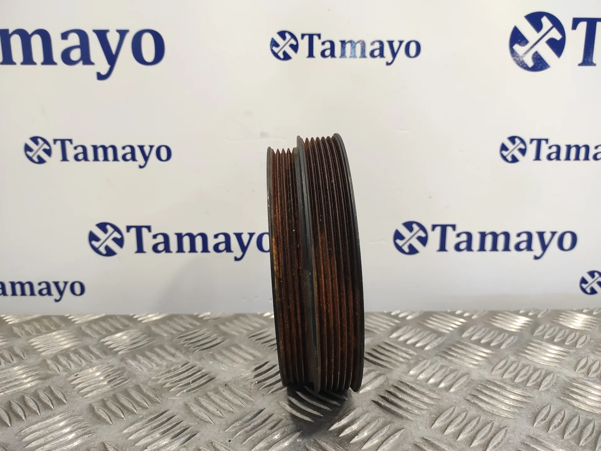 Polea Ciguenal para Chrysler Voyager (Rg)