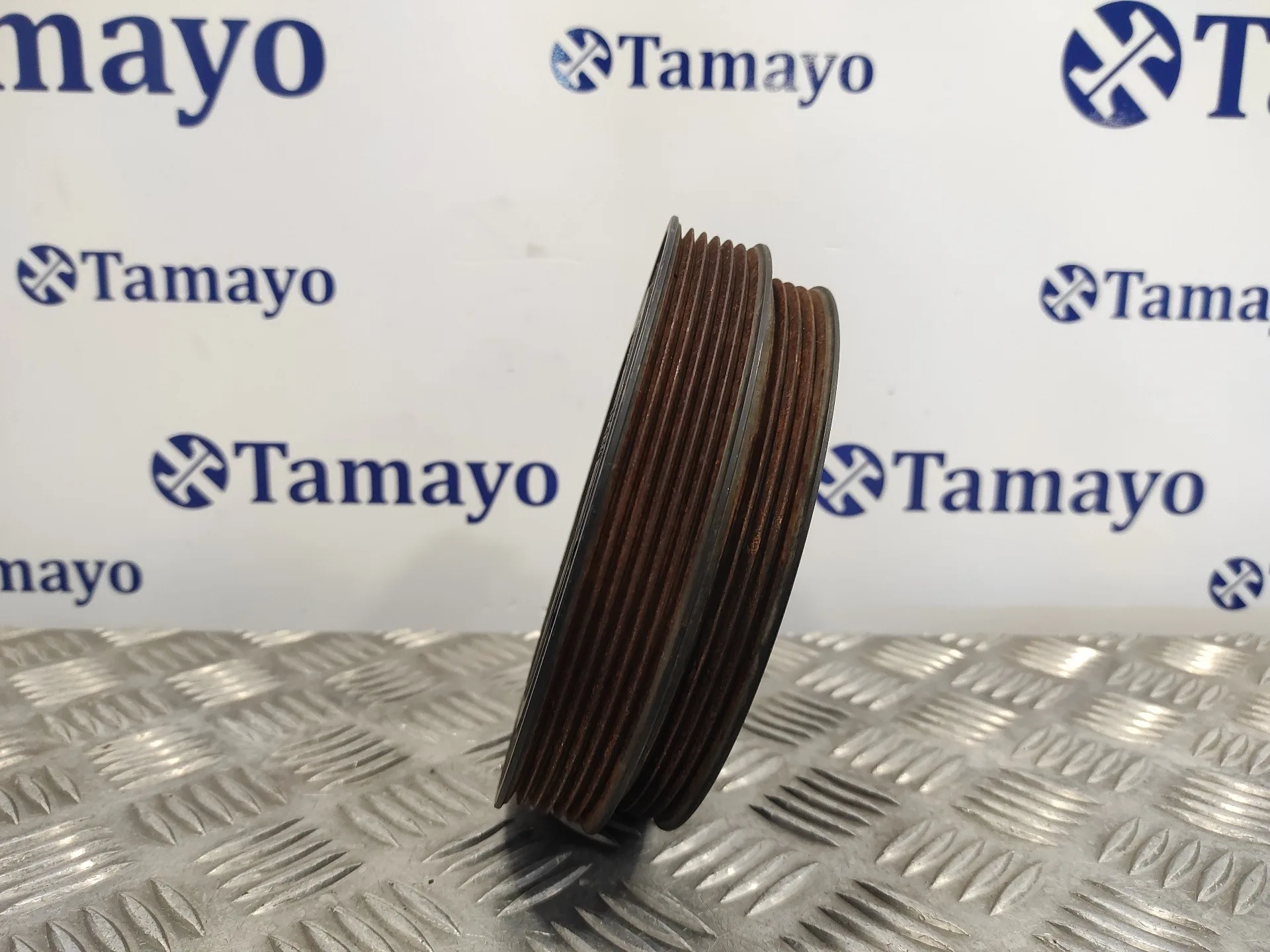 Polea Ciguenal para Chrysler Voyager (Rg)