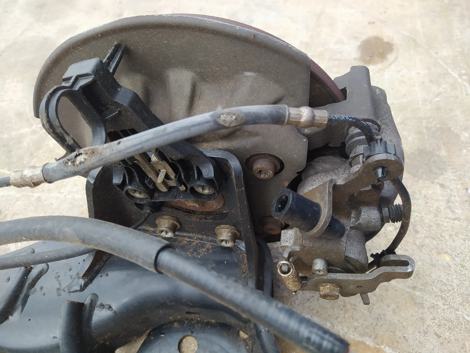 Puente Trasero para Citroën Berlingo
