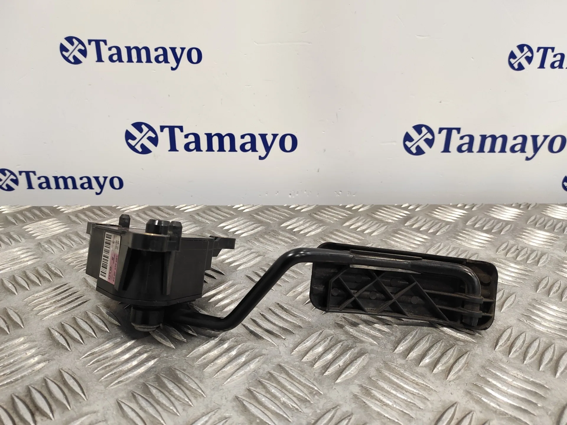 Pedal Acelerador para Renault Kangoo