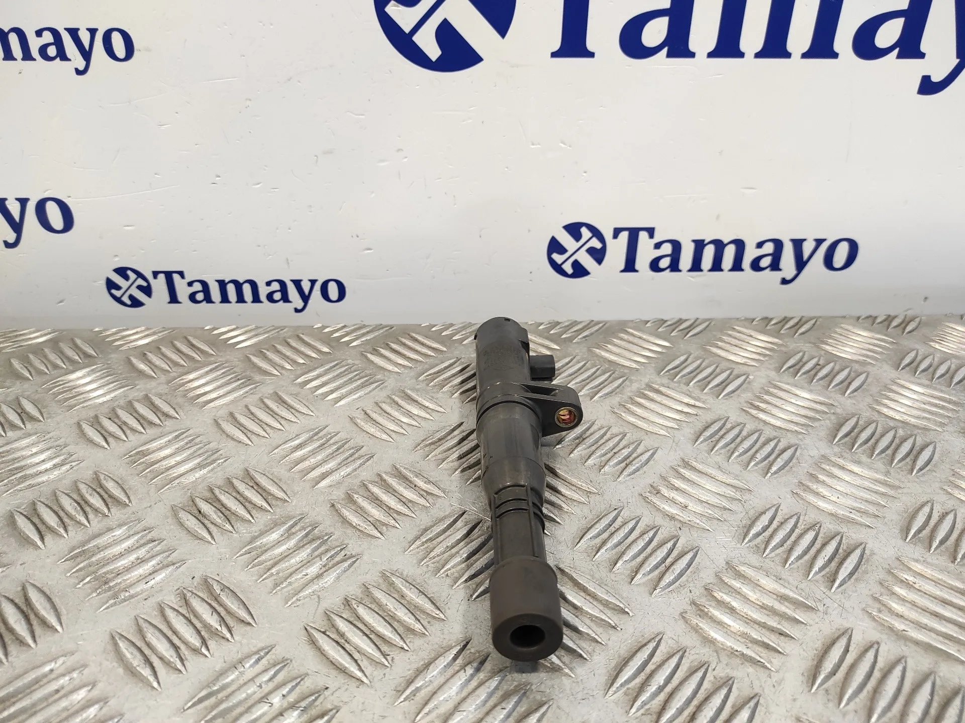 Bobina Encendido para Renault Laguna Ii (Bg0)