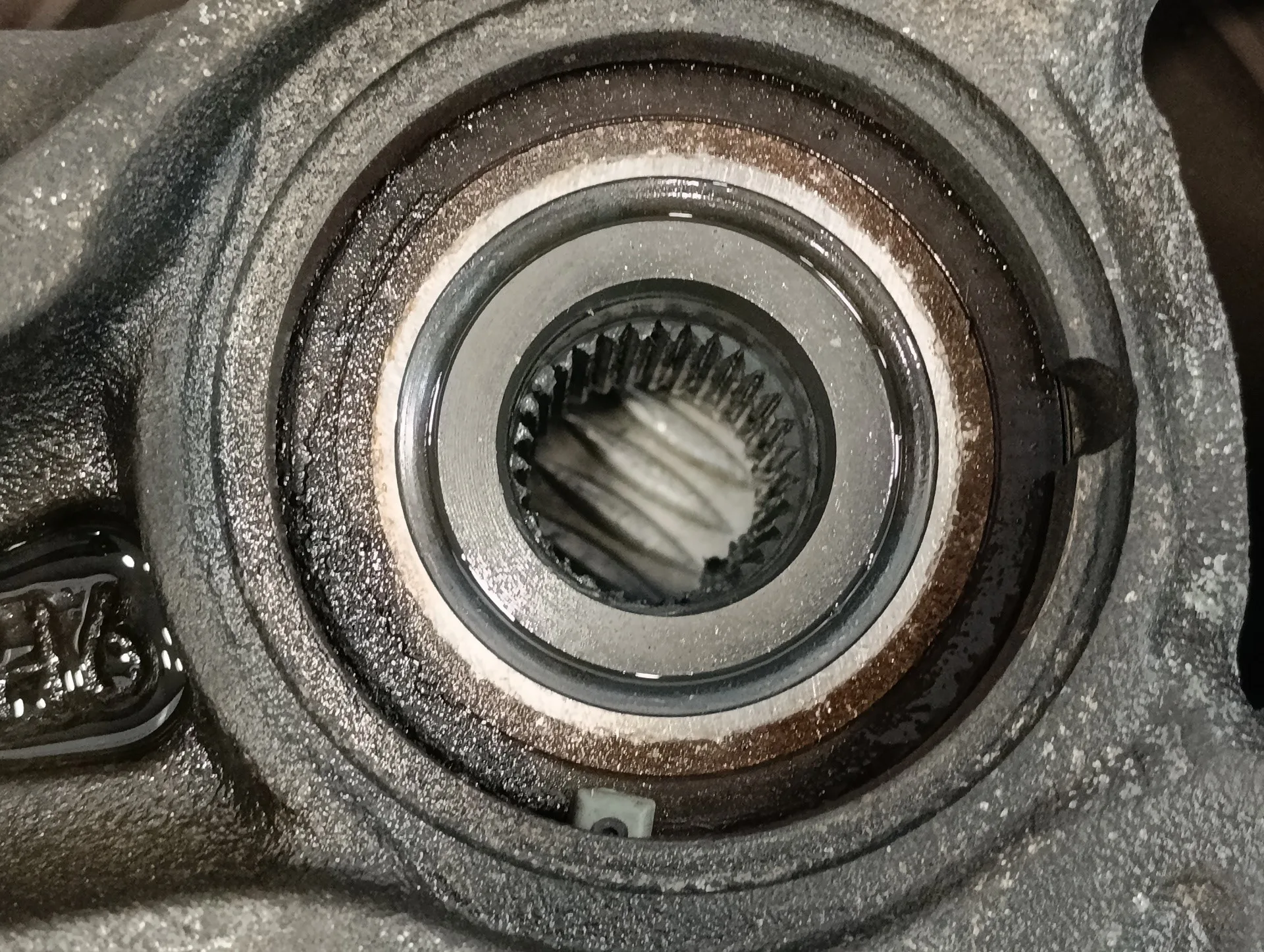 Mangueta Delantera Izquierda para Audi Q7 (4L)