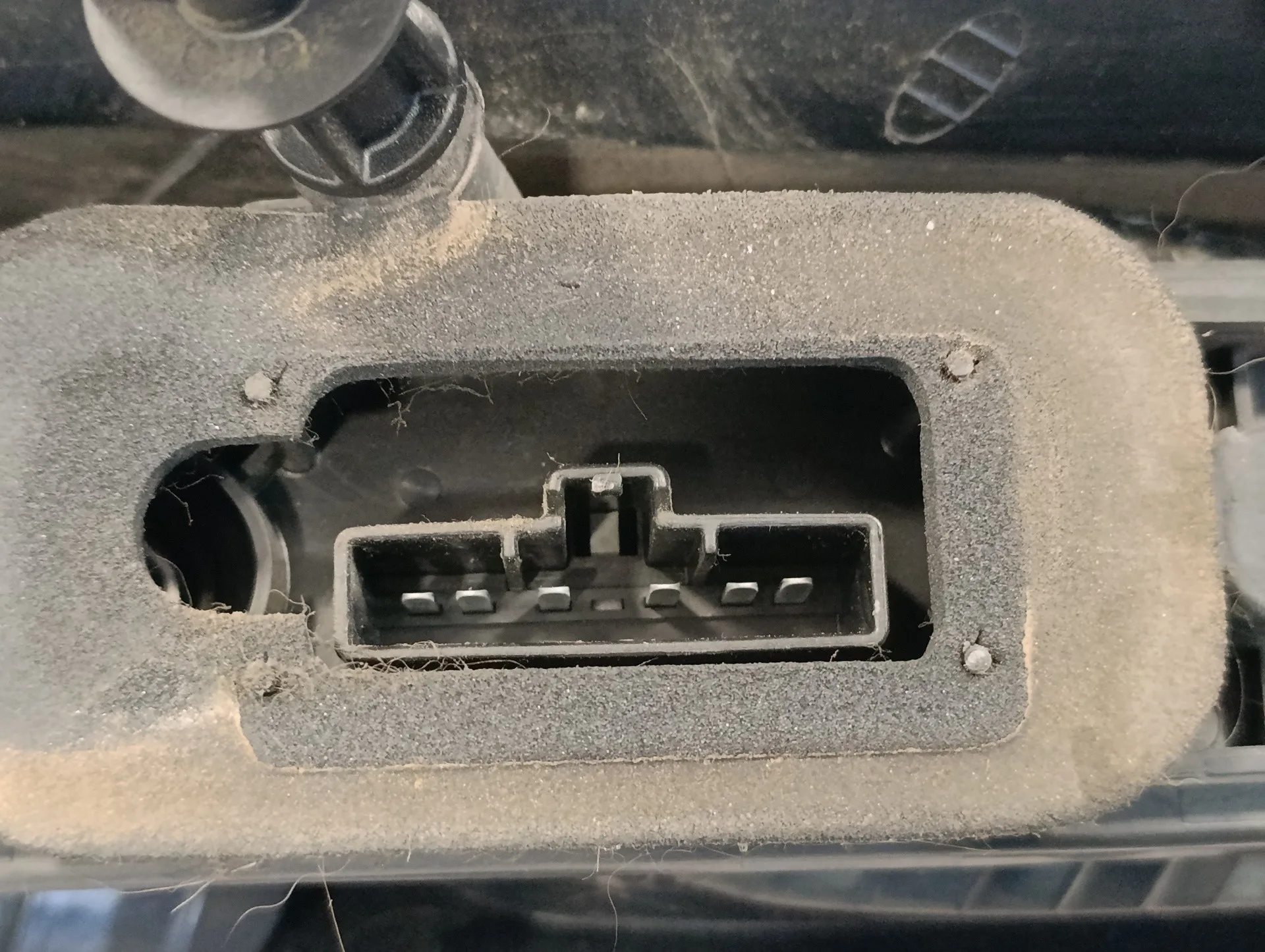 Piloto Trasero Izquierdo para Ford Focus C-Max (Cap)