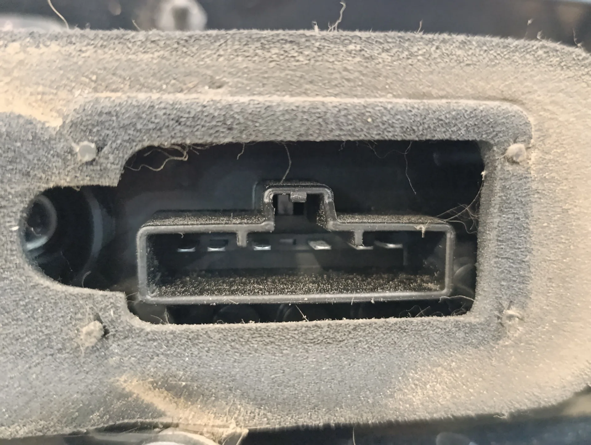 Piloto Trasero Derecho para Ford Focus C-Max (Cap)