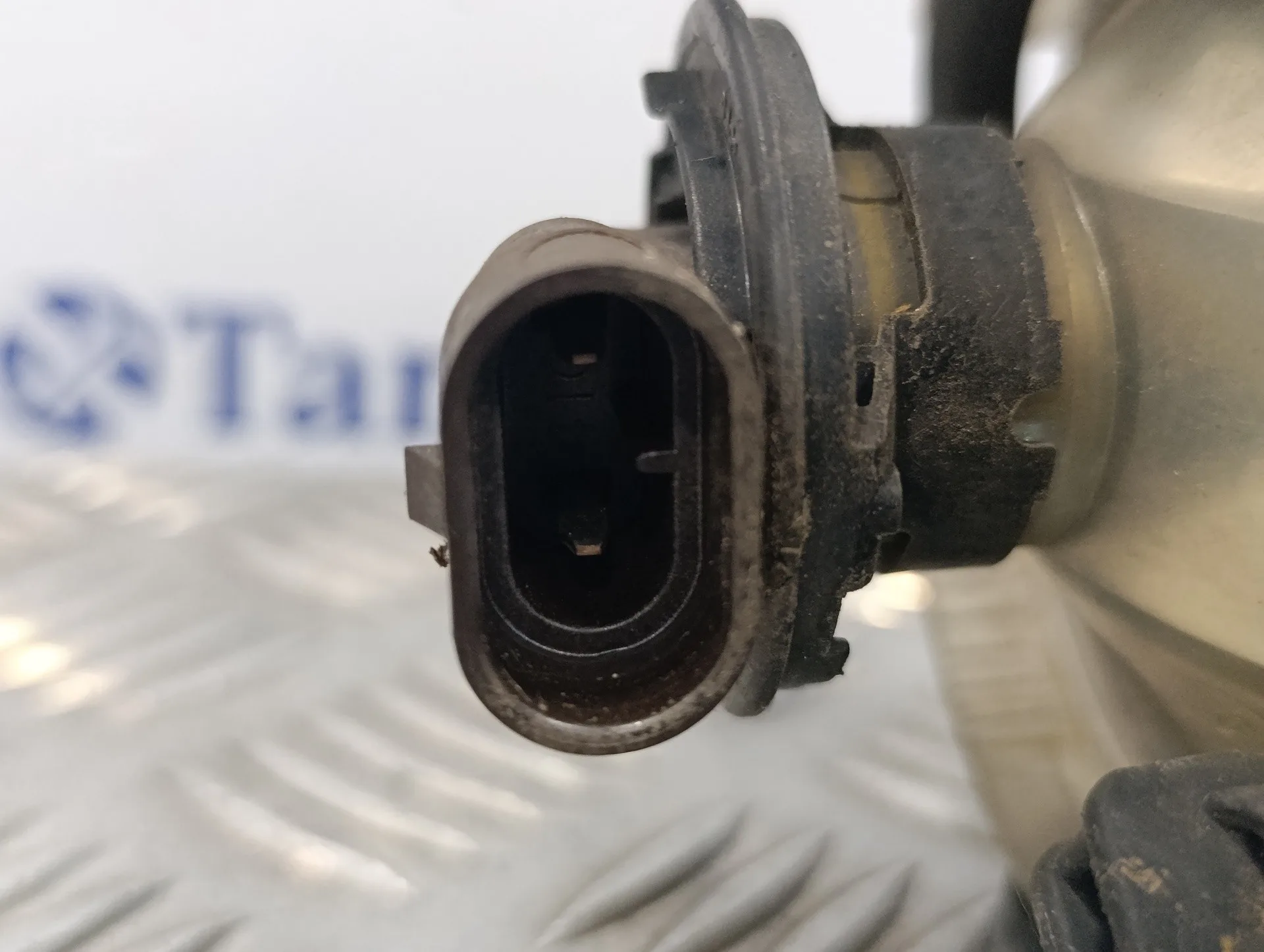 Faro Antiniebla Derecho para Volkswagen Golf Plus (5M1)