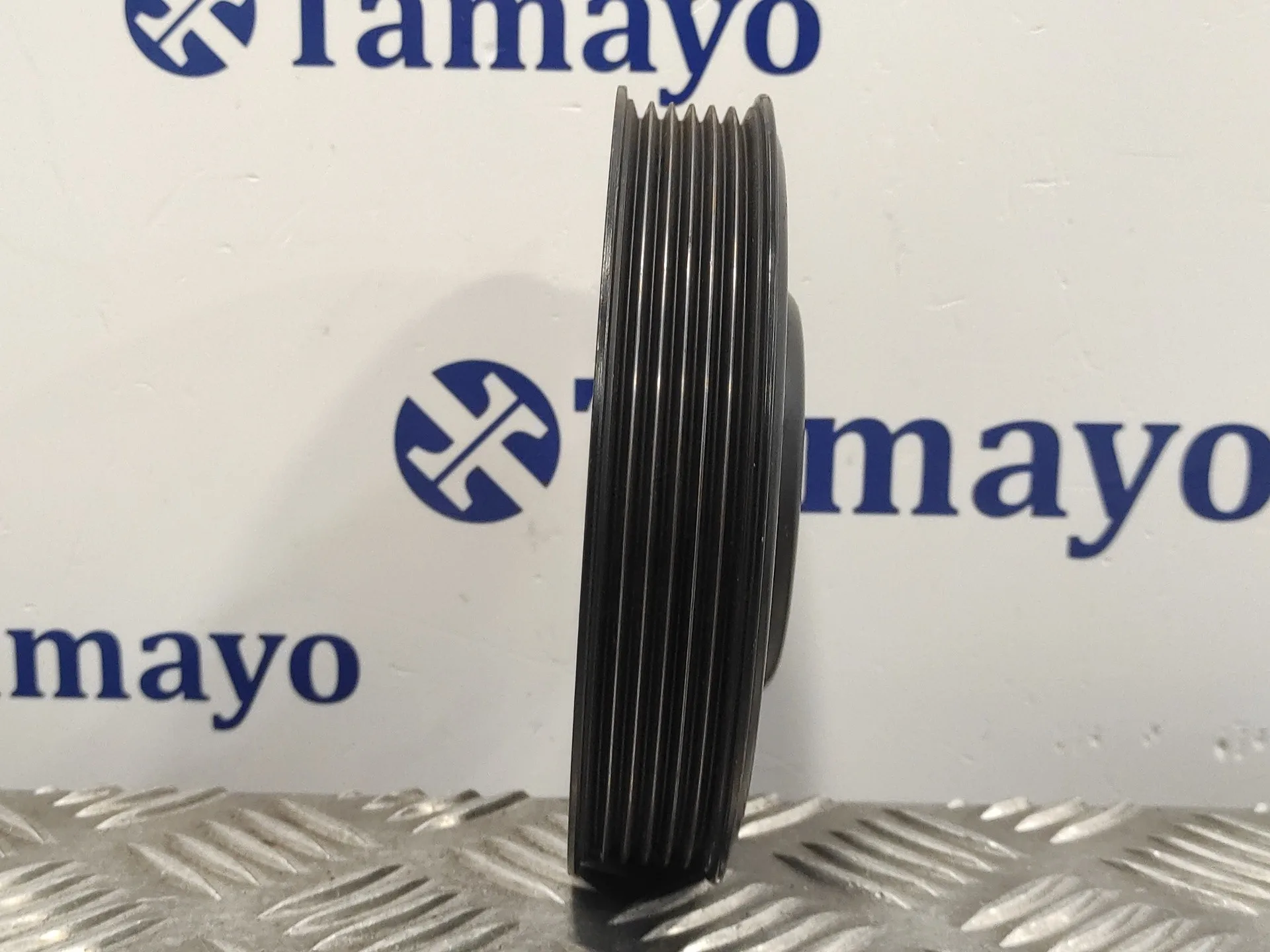 Polea Ciguenal para Volkswagen Passat Variant (3C5)