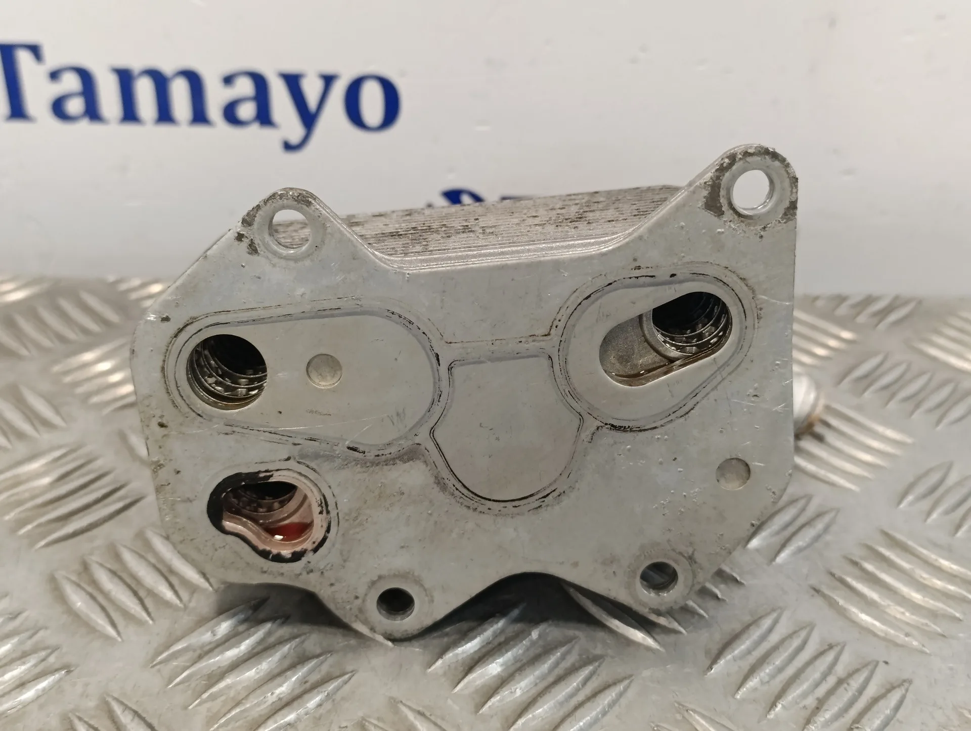 Enfriador Aceite Motor para Volkswagen Passat Variant (3C5)