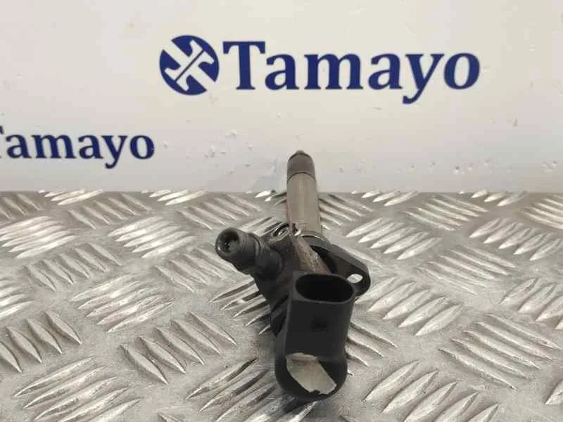 Inyector para Peugeot Expert Tepee