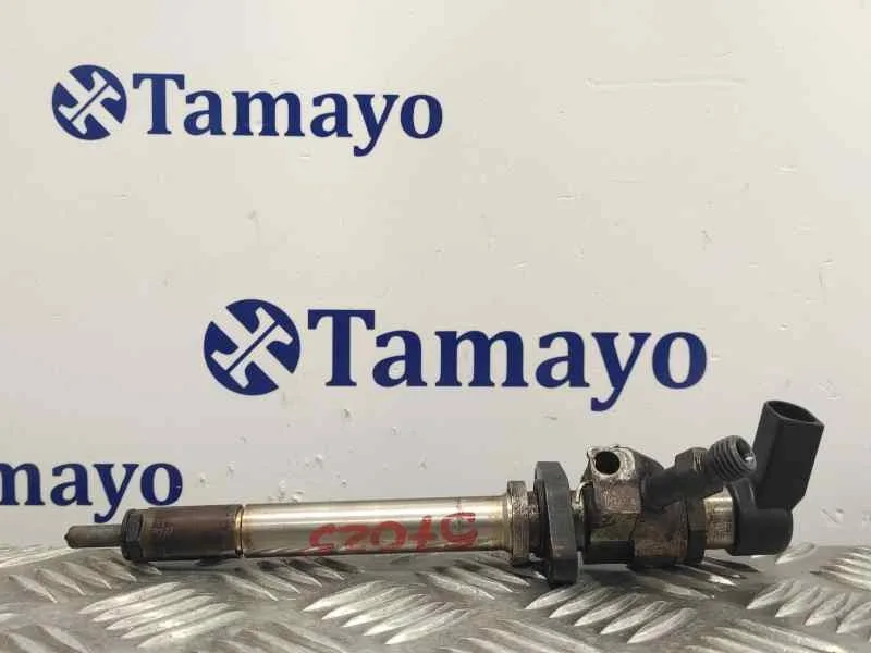 Inyector para Peugeot Expert Tepee