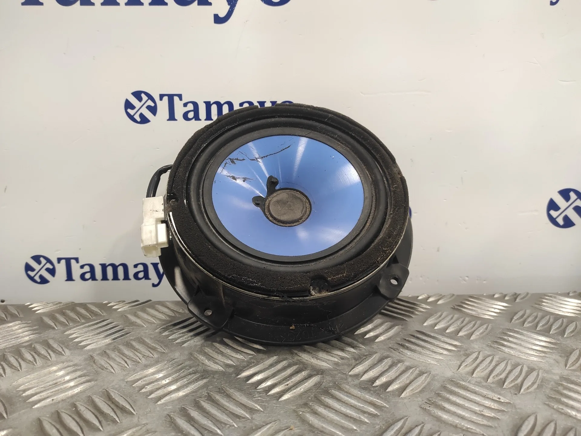 Altavoz para Kia Carnival