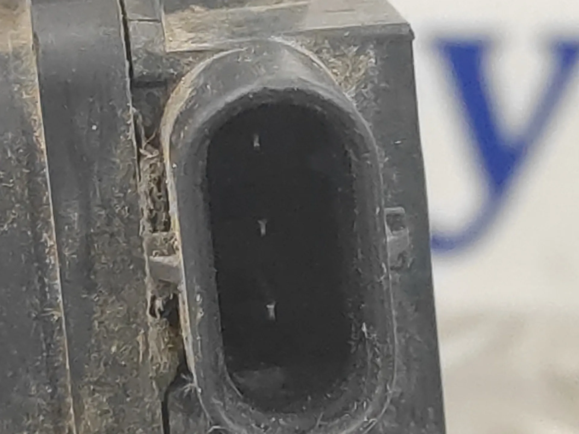 Modulo Electronico para Audi A3 Limousine (8Vs, 8Vm)