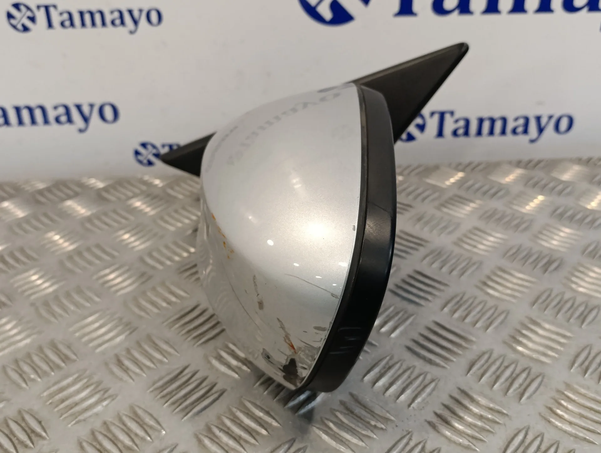 Retrovisor Izquierdo para Bmw Serie 3 Berlina (E90)