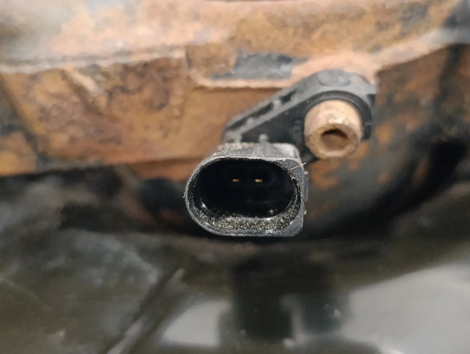 Mangueta Delantera Izquierda para Volkswagen T5 Transporter (7E)