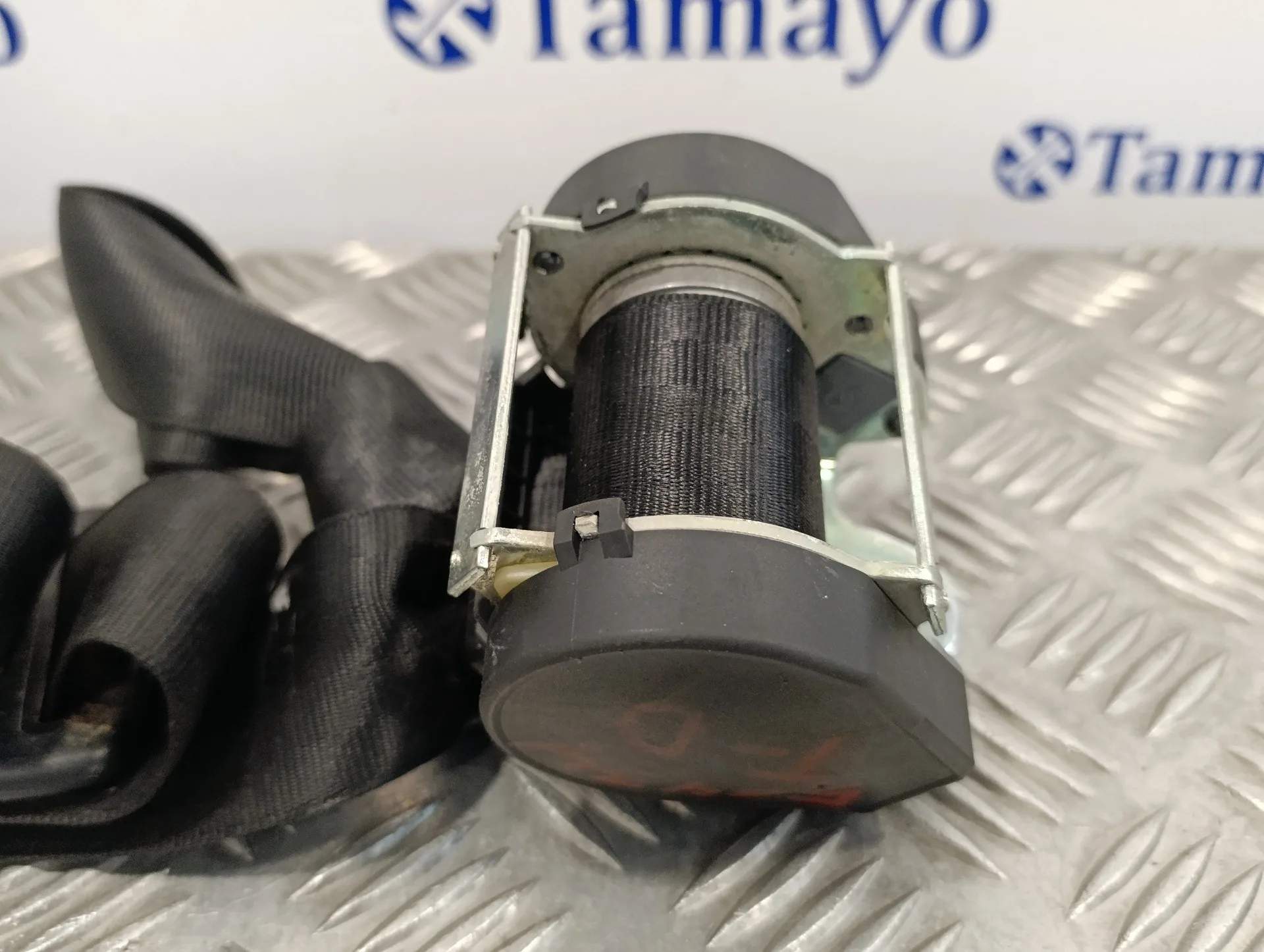 Cinturon Seguridad Trasero Derecho para Volkswagen Golf V Berlina (1K1)