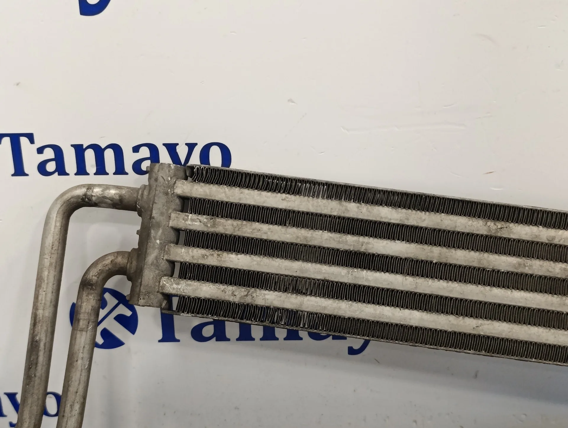 Radiador Aceite para Volkswagen Touareg (7L6)