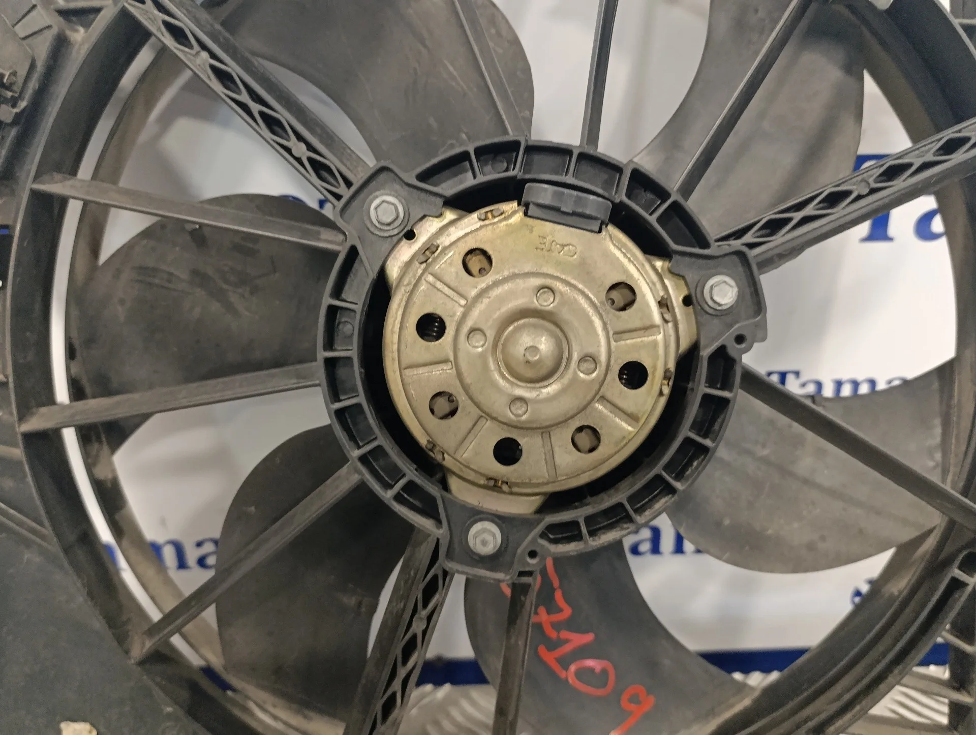 Electroventilador para Renault Clio Ii Fase I (B/Cbo)