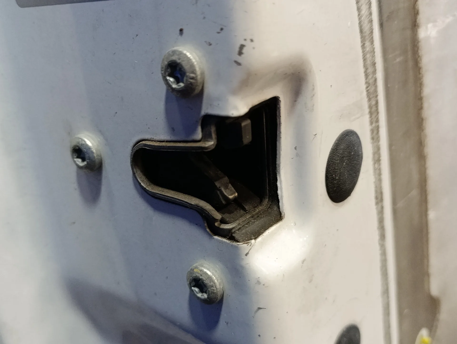 Puerta Delantera Izquierda para Renault Trafic Caja Cerrada (Ab 4.01)