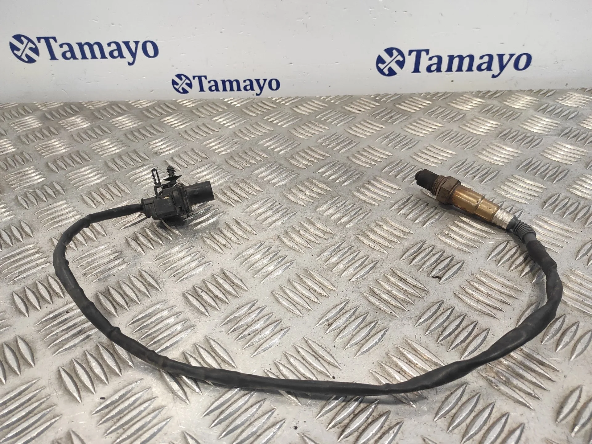 Sonda Lambda para Ford C-Max (Ceu)
