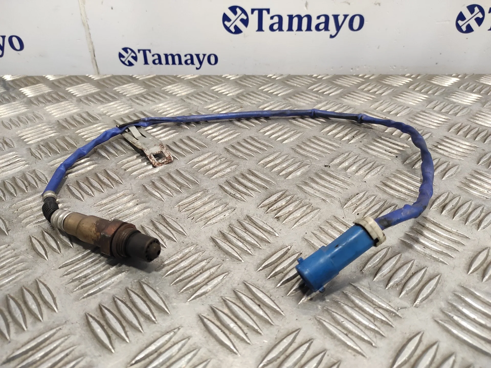 Sonda Lambda para Ford C-Max (Ceu)