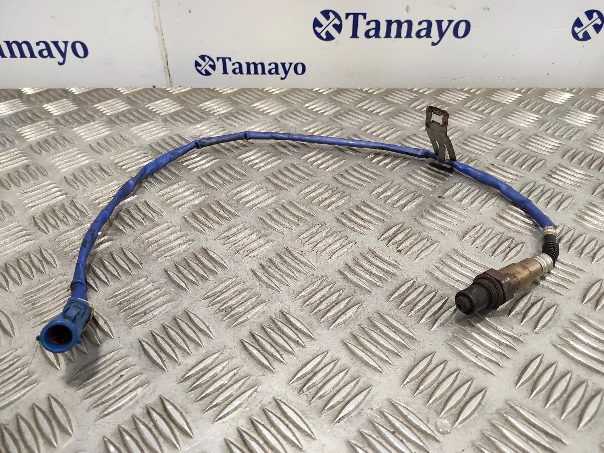 Sonda Lambda para Ford C-Max (Ceu)