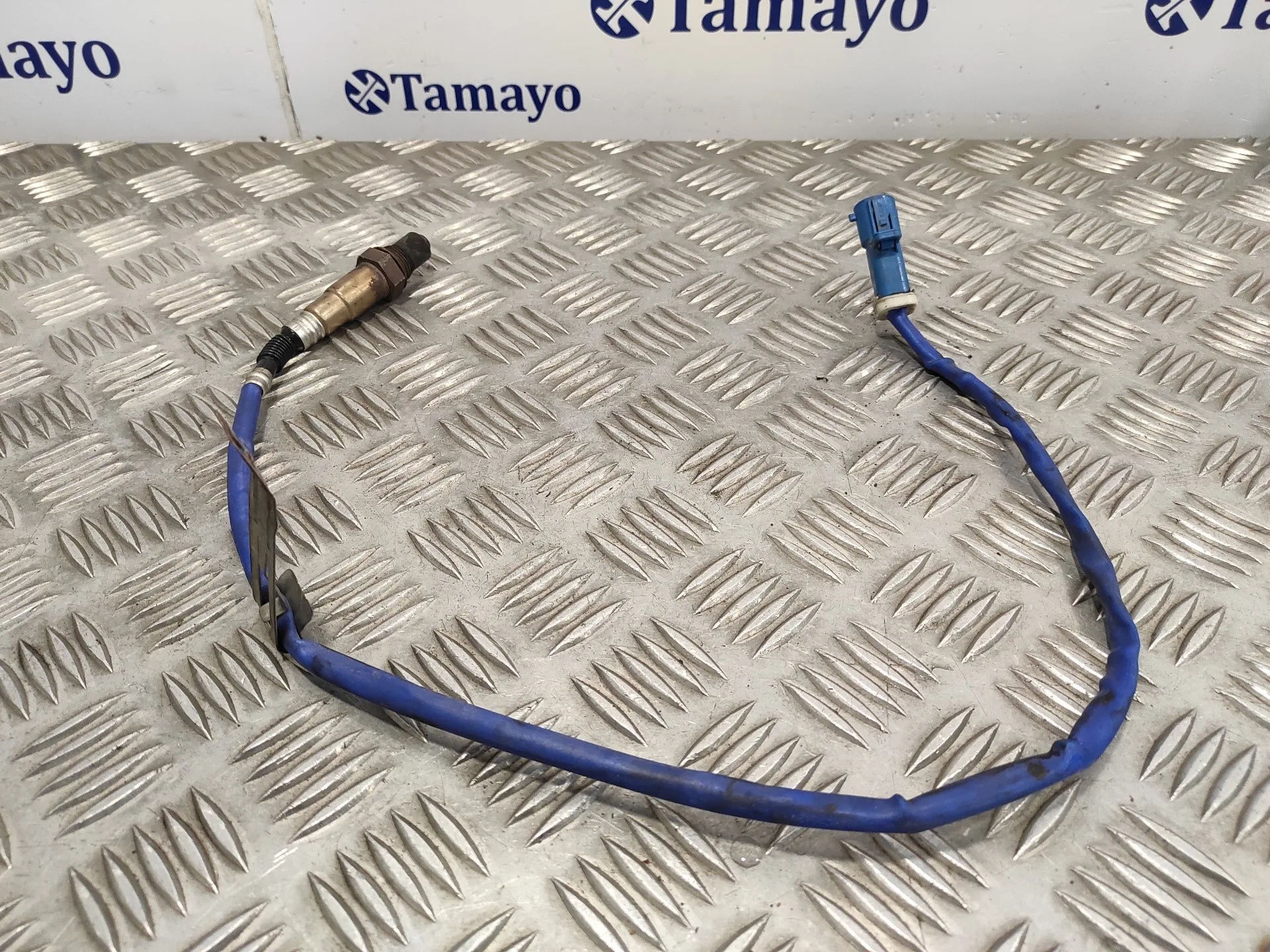 Sonda Lambda para Ford C-Max (Ceu)