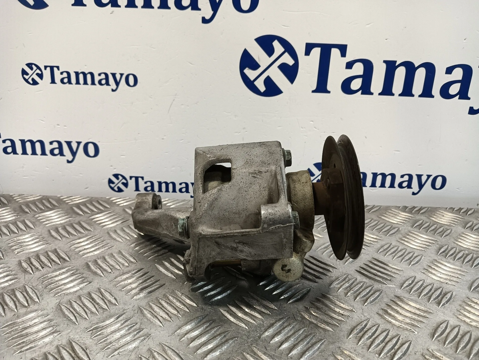 Bomba Direccion para Seat Inca (6K9)
