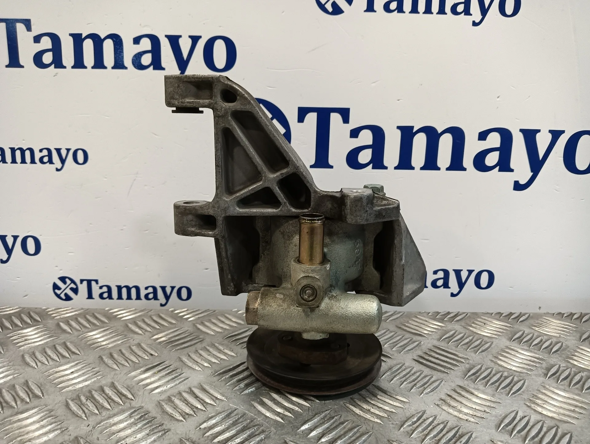 Bomba Direccion para Seat Inca (6K9)