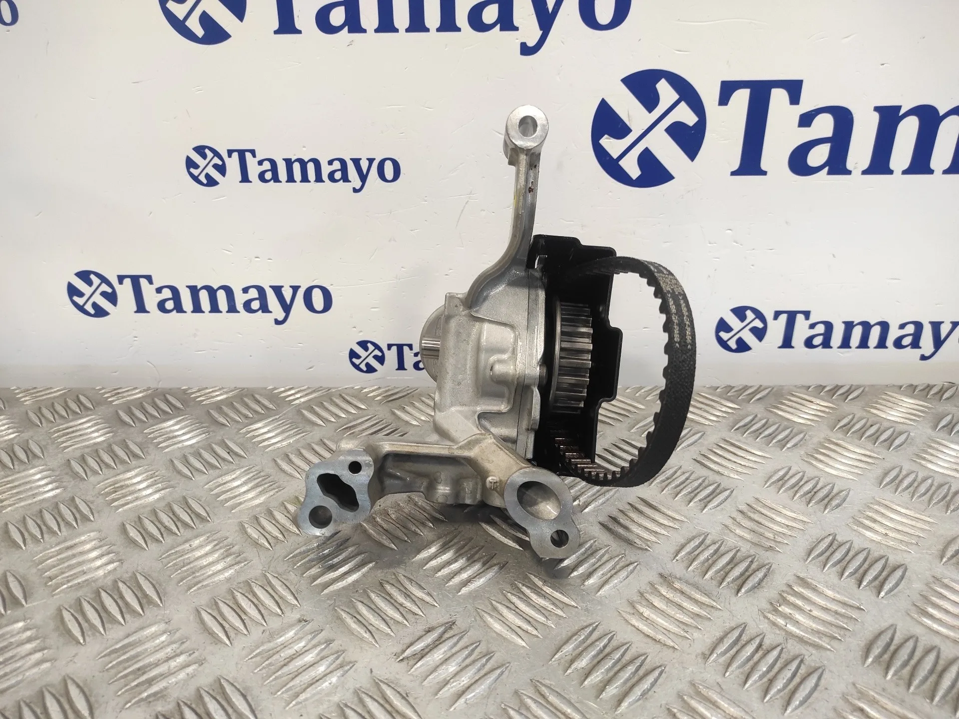 Bomba Aceite para Ford C-Max (Ceu)