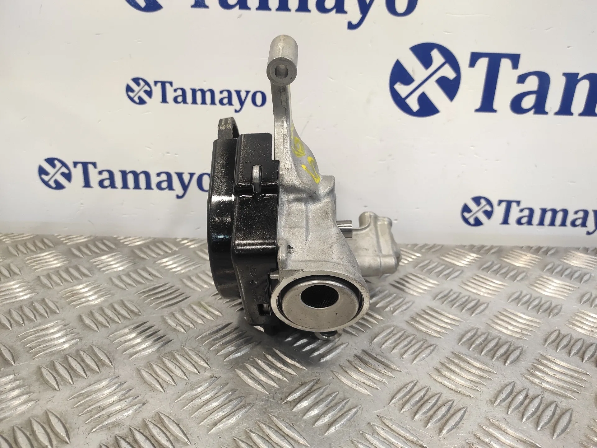 Bomba Aceite para Ford C-Max (Ceu)
