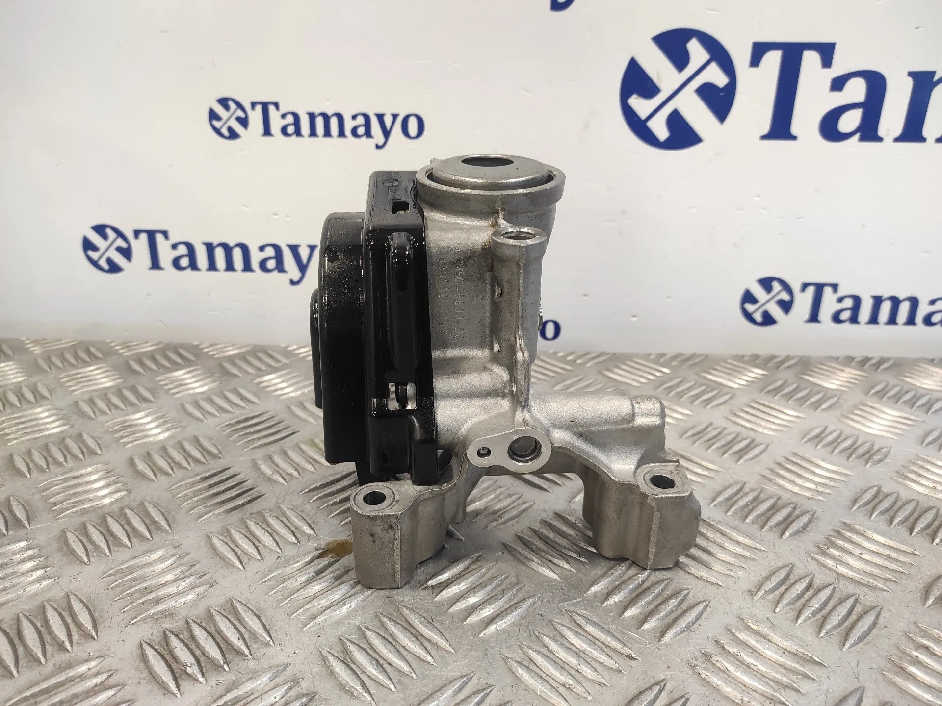 Bomba Aceite para Ford C-Max (Ceu)