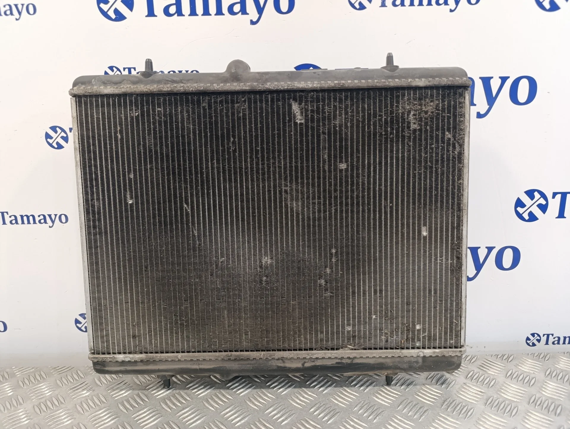 Radiador Agua para Peugeot Partner Kombi