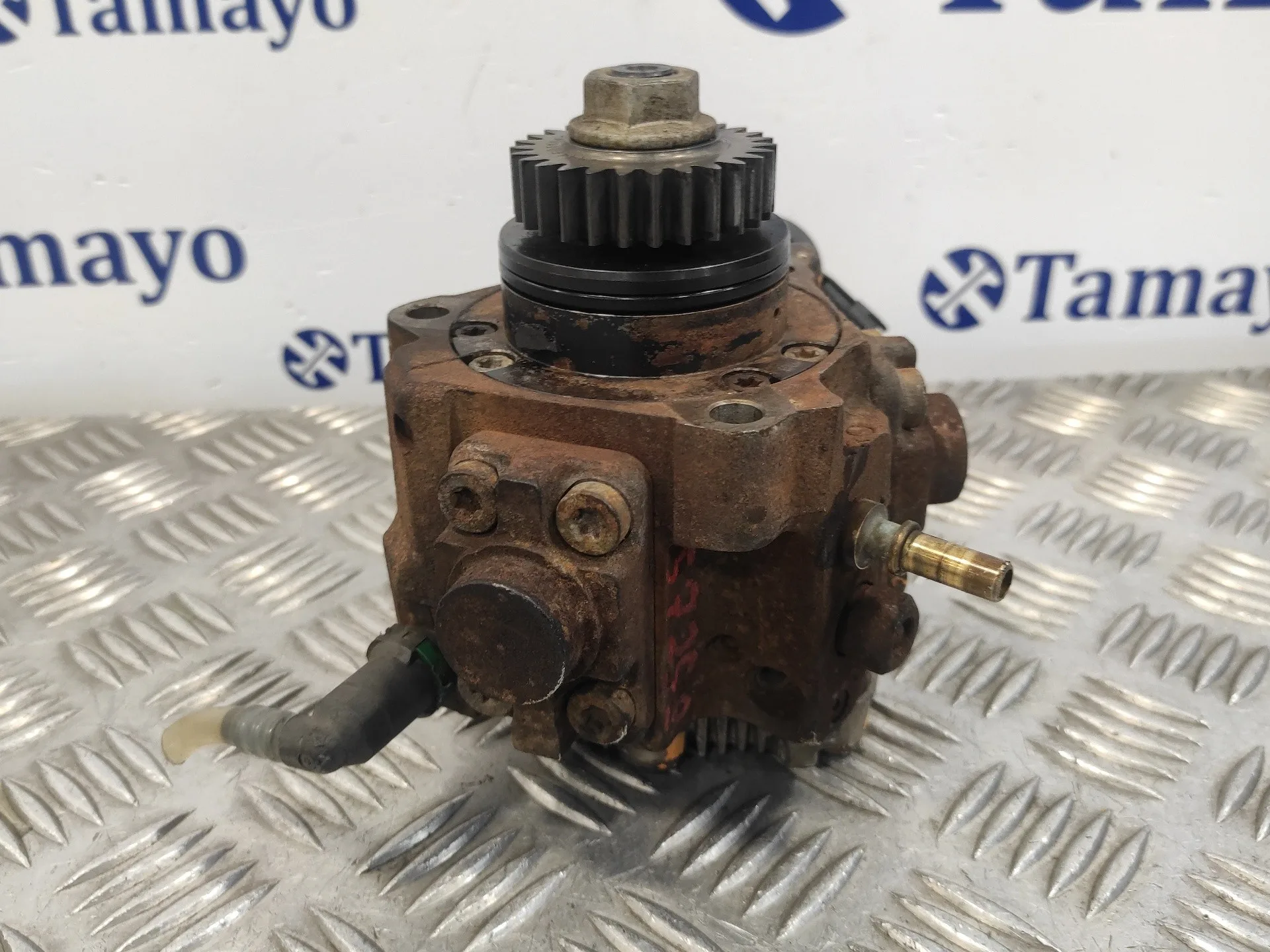 Bomba Inyeccion para Nissan Qashqai (J10)