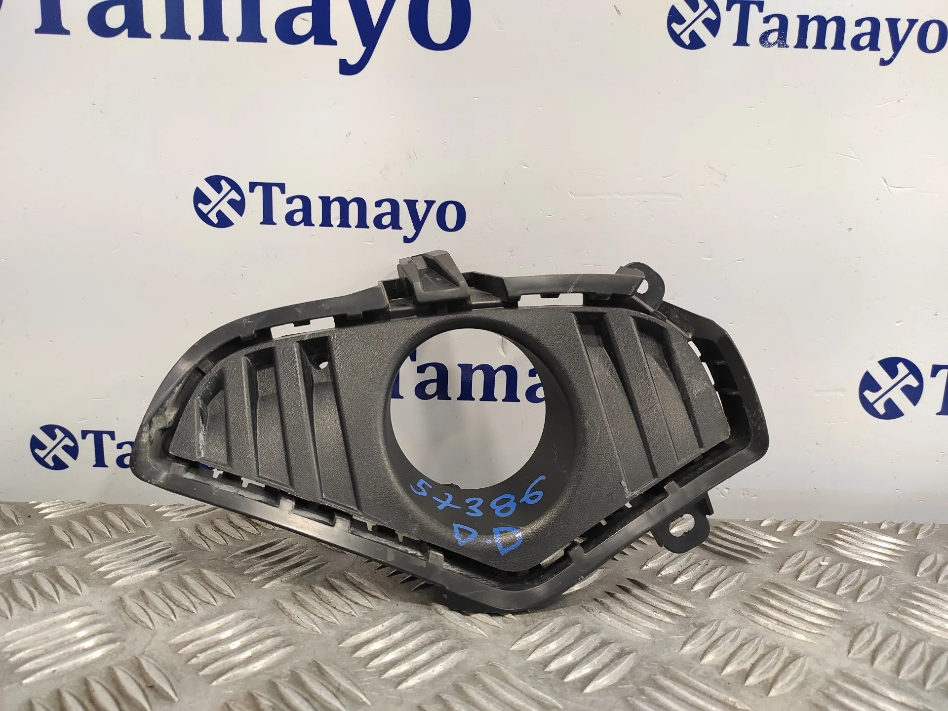 Molduras Delanteras para Toyota Rav 4 V (_A5_, _H5_)