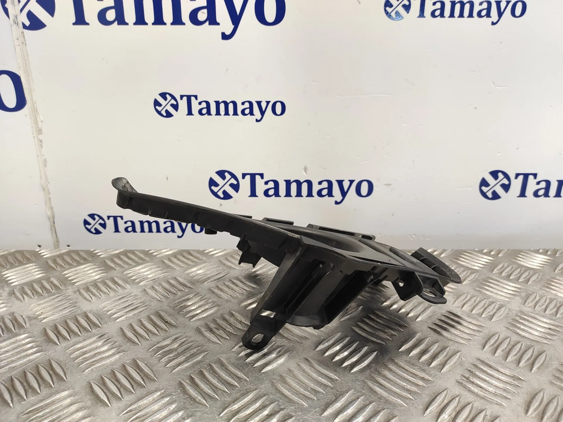 Molduras Delanteras para Toyota Rav 4 V (_A5_, _H5_)