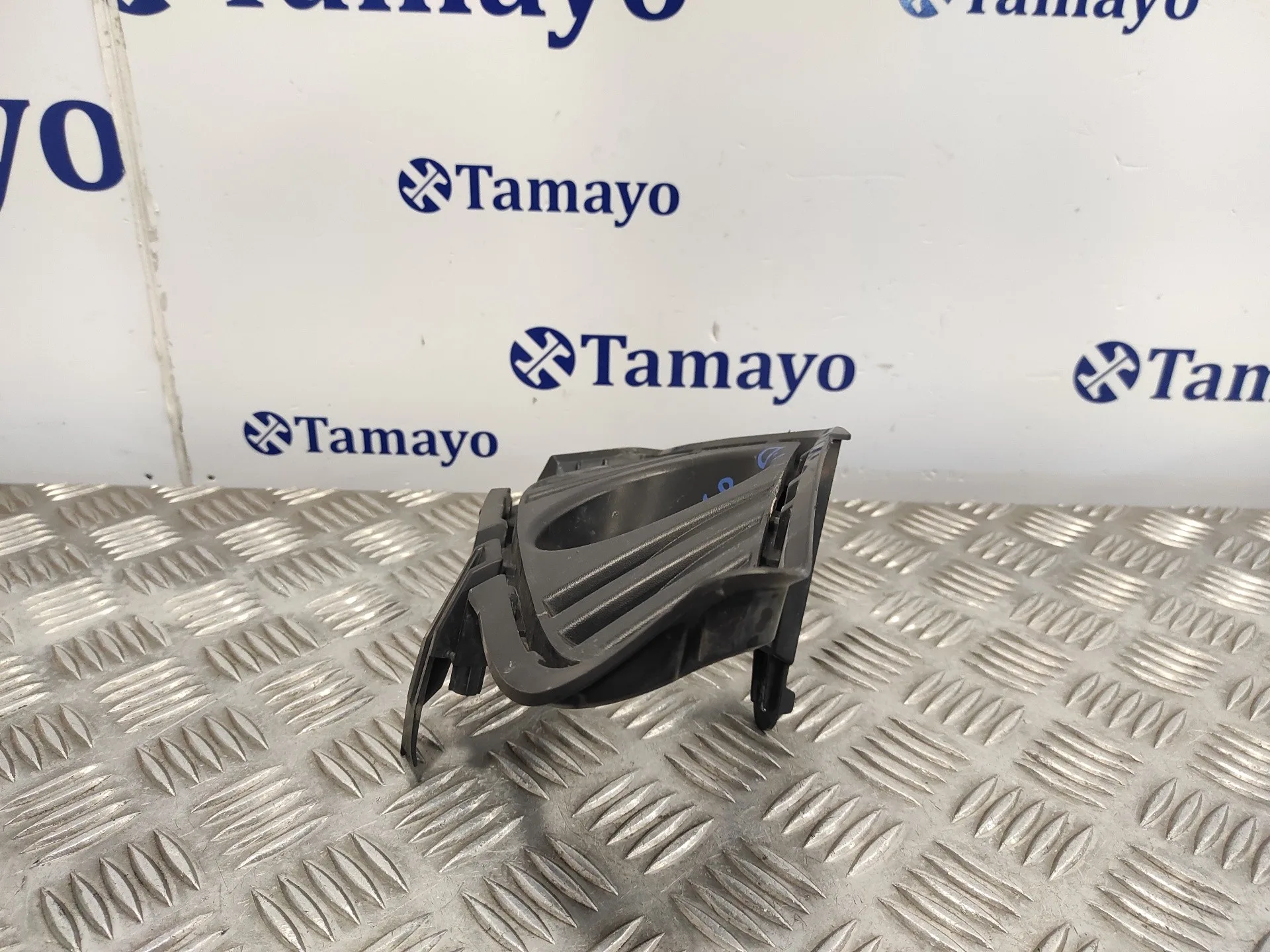 Molduras Delanteras para Toyota Rav 4 V (_A5_, _H5_)