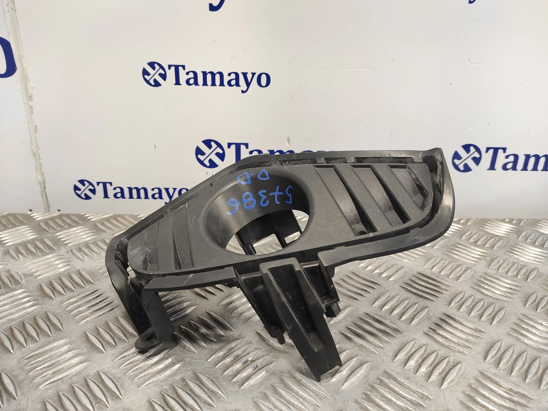 Molduras Delanteras para Toyota Rav 4 V (_A5_, _H5_)