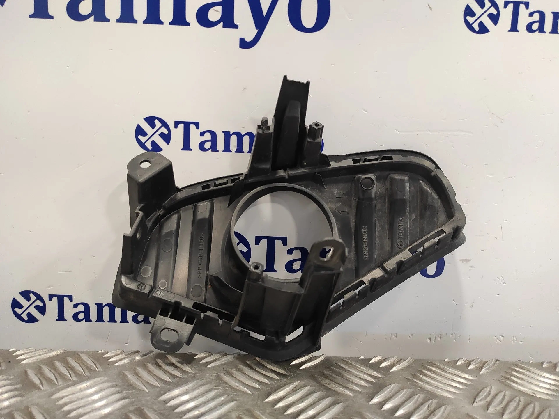 Molduras Delanteras para Toyota Rav 4 V (_A5_, _H5_)
