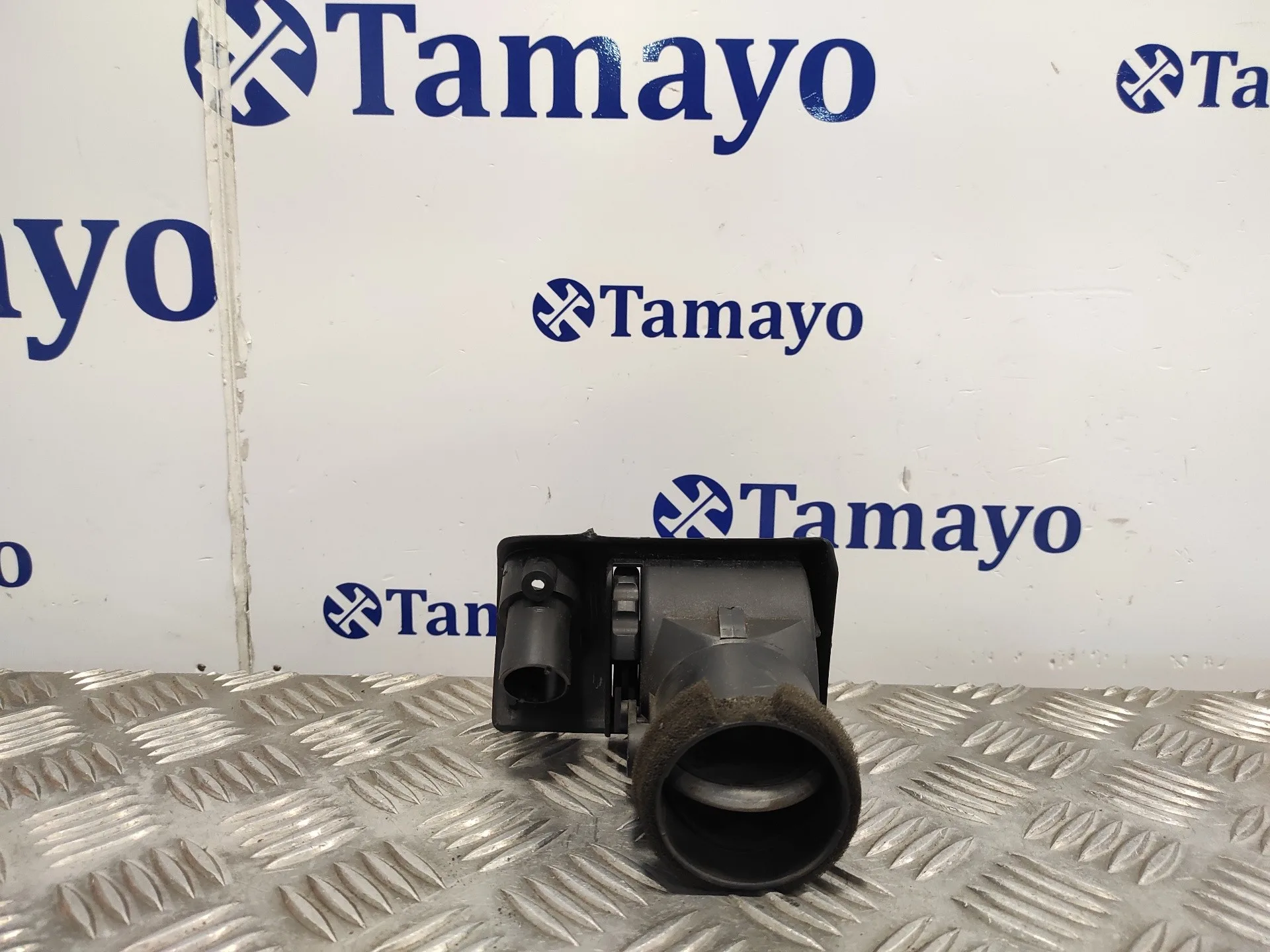 Rejilla Aireadora para Bmw Z3 Roadster (E36)