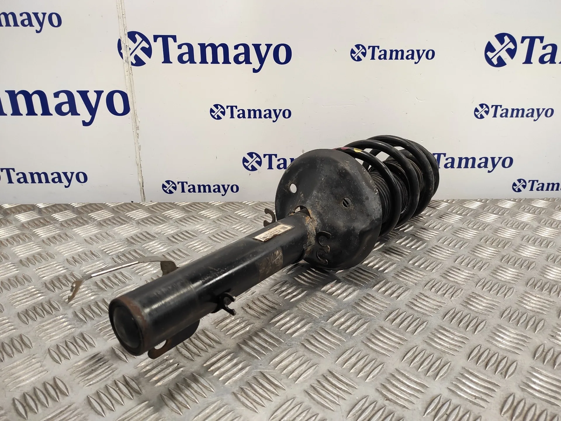 Amortiguador Delantero Izquierdo para Seat Toledo (1M2)