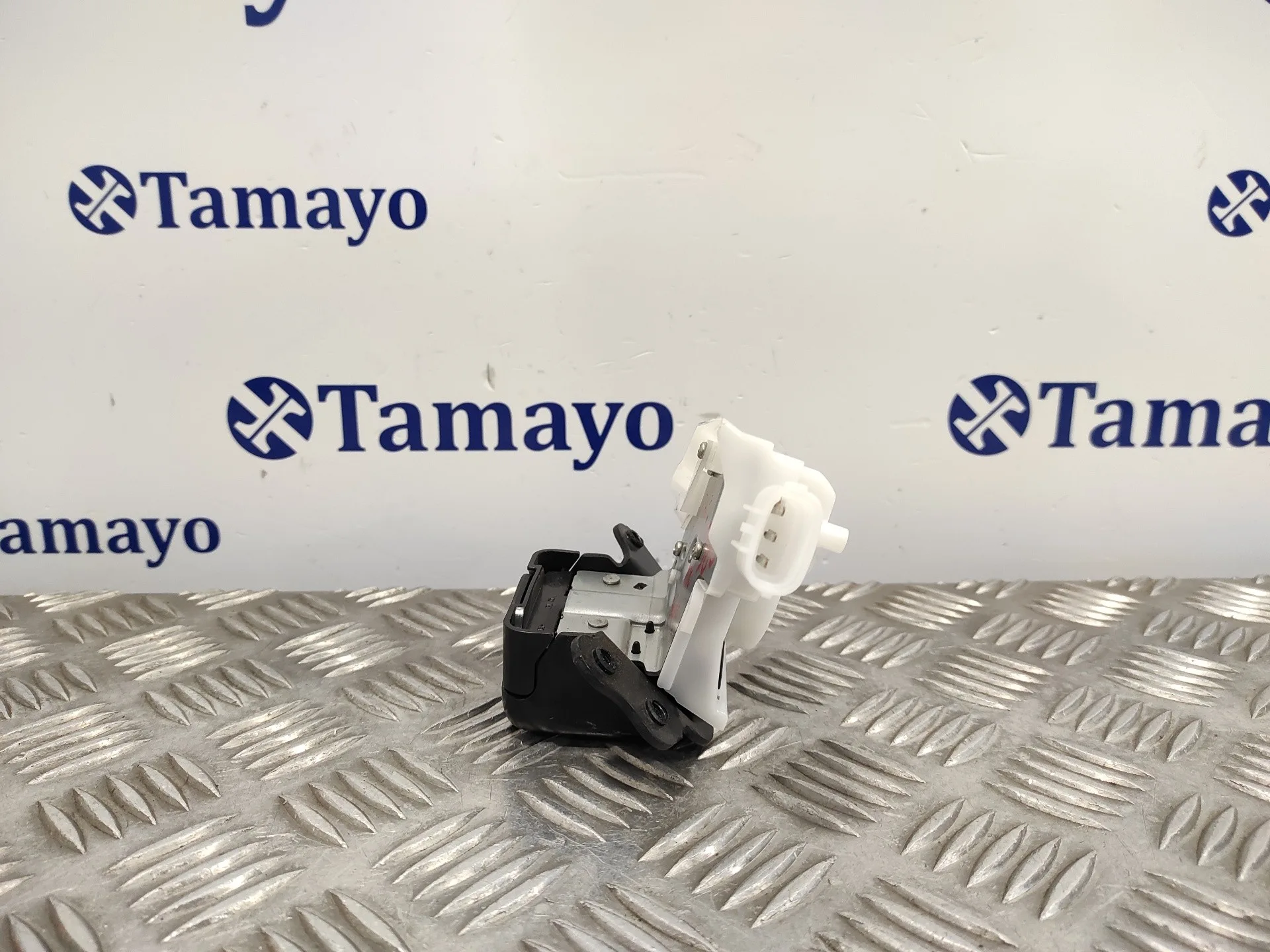 Cerradura Maletero / Porton para Toyota Rav 4 V (_A5_, _H5_)