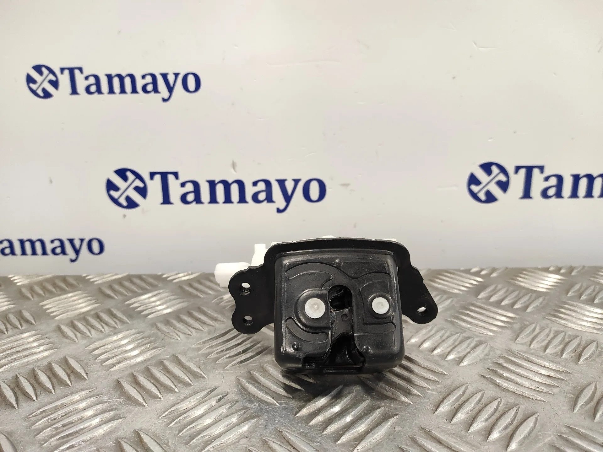 Cerradura Maletero / Porton para Toyota Rav 4 V (_A5_, _H5_)
