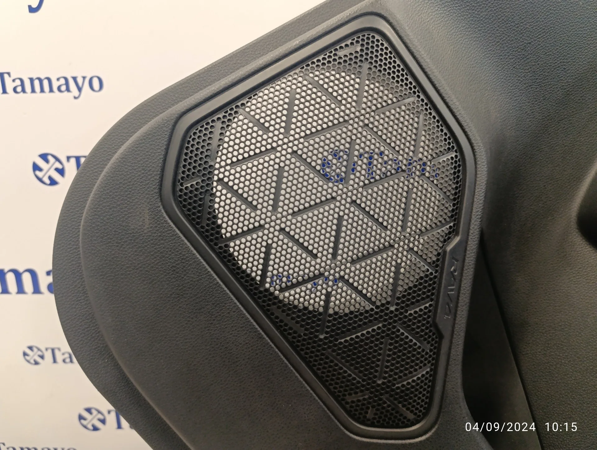Guarnecido Puerta Trasera Derecha para Toyota Rav 4 V (_A5_, _H5_)