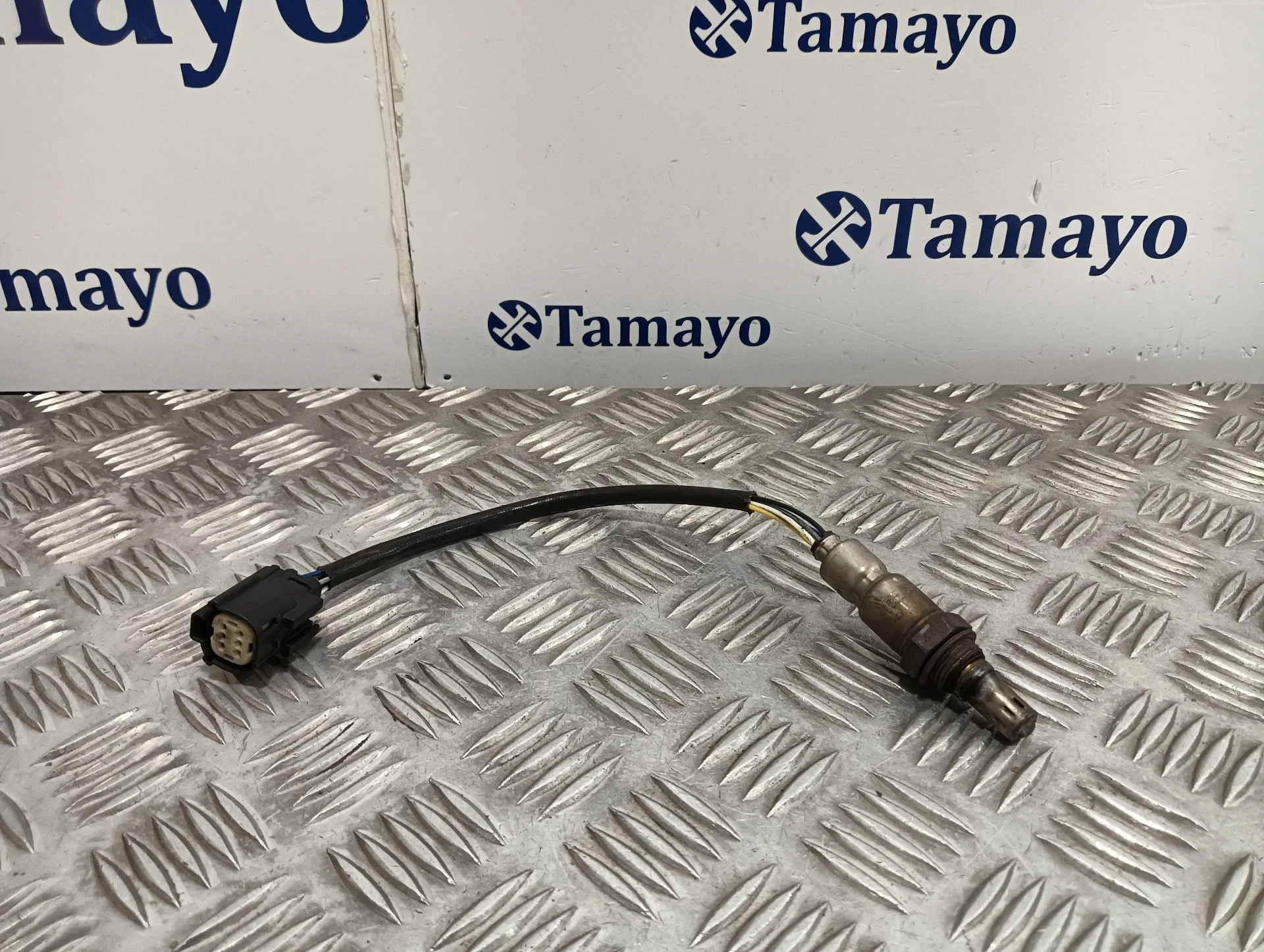 Sonda Lambda para Ford Focus Lim.
