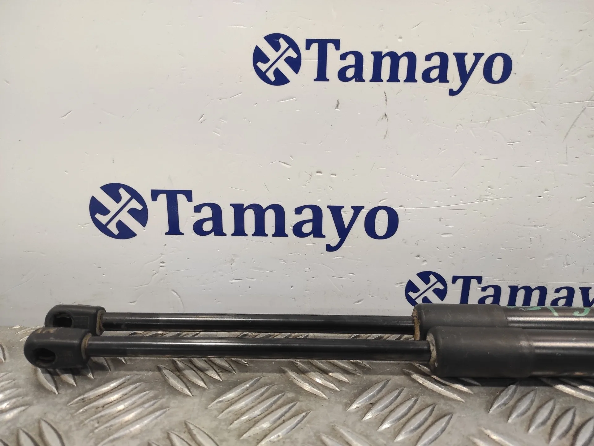 Amortiguadores Maletero / Porton para Toyota Rav 4 V (_A5_, _H5_)